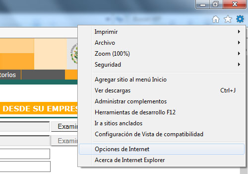 Opciones de Internet