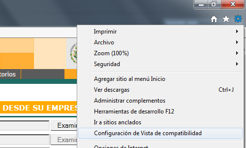 Configuración de Vista de IE11