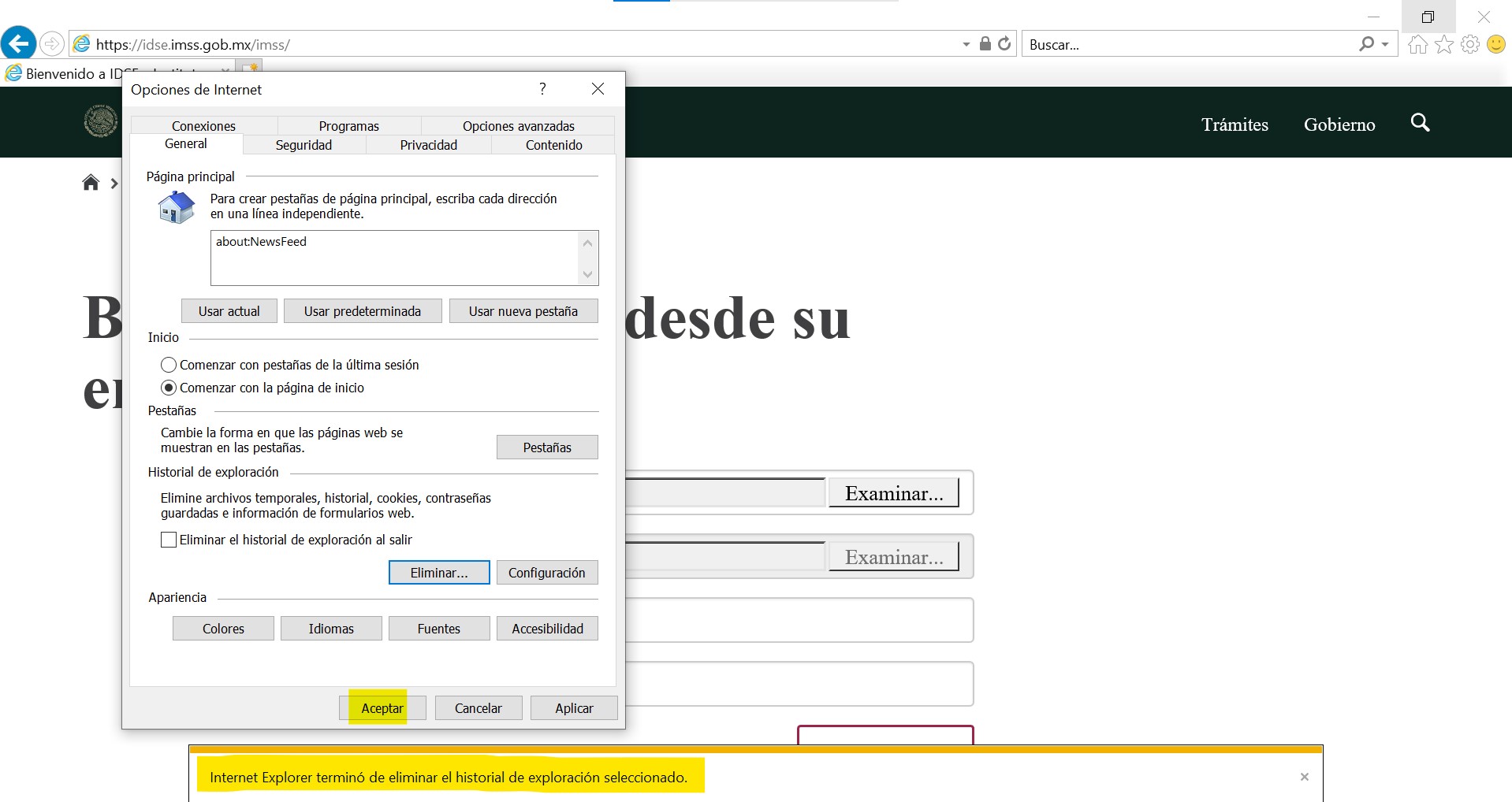 Acceso a IDSE con IE Aceptar las Opciones de Internet